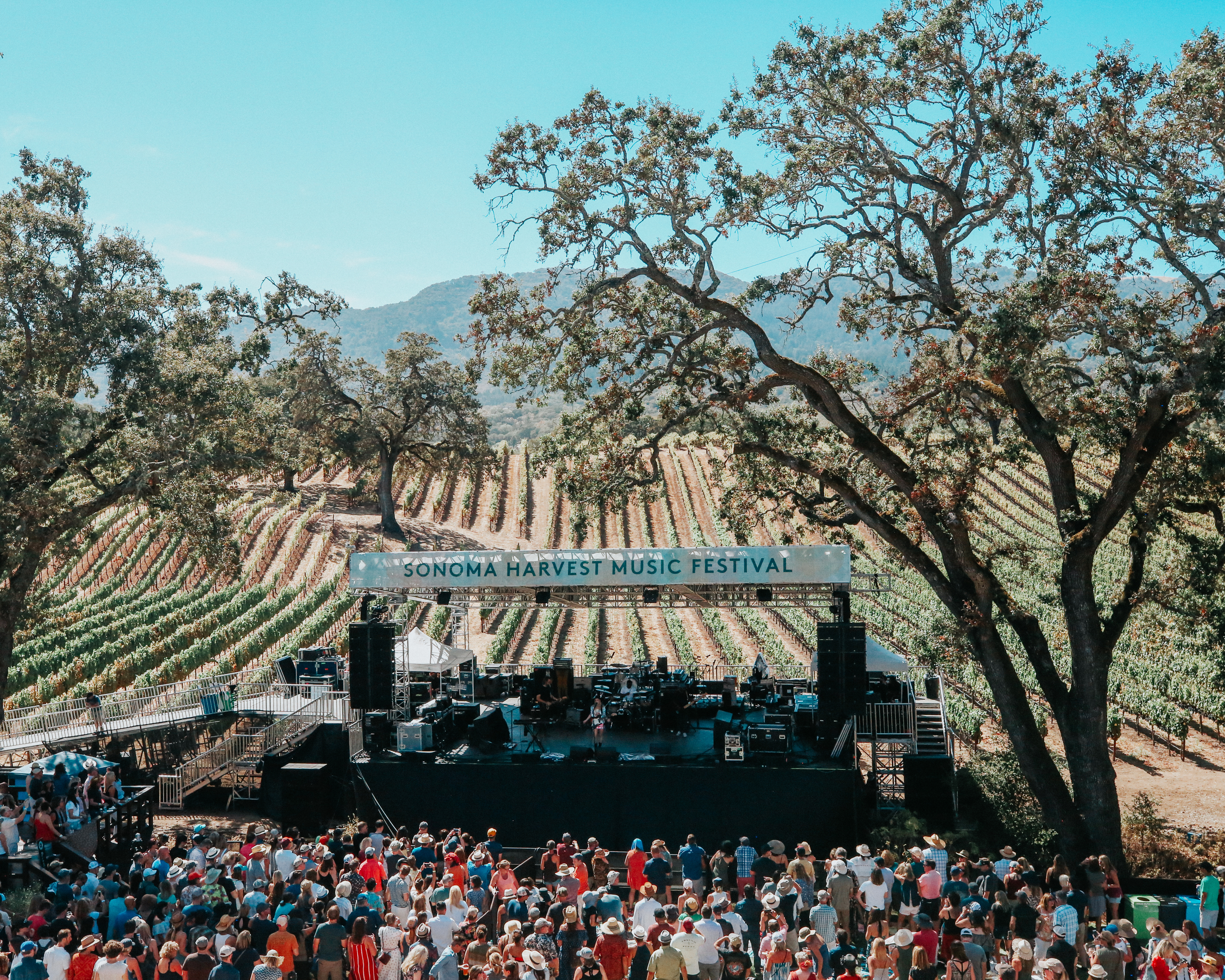 A Winery Hosted A Music Festival And We’re Now Forever Changed
